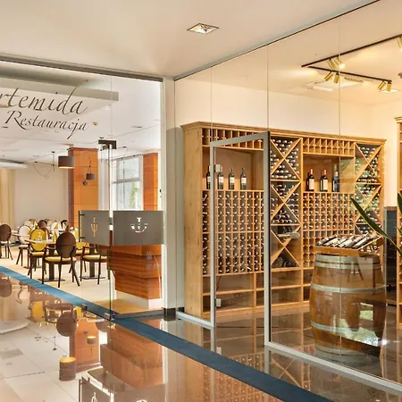 Hotel Olympic & Wellness Ustroń