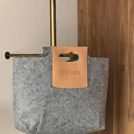 Olympic & Wellness 4*