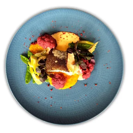 Olympic & Wellness Szálloda