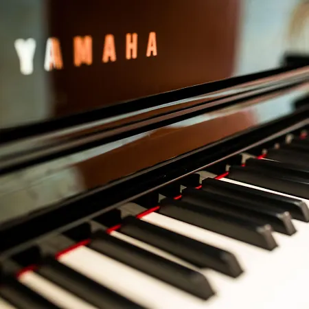 Olympic & Wellness 4*