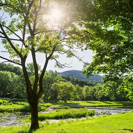 Olympic & Wellness Hotel Ustroń
