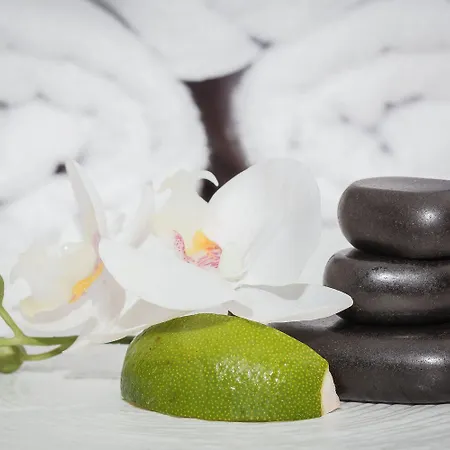 Olympic & Wellness Hotel