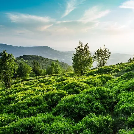 Hotel Olympic & Wellness 4*