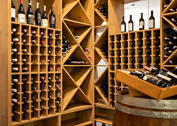 Olympic & Wellness 4*