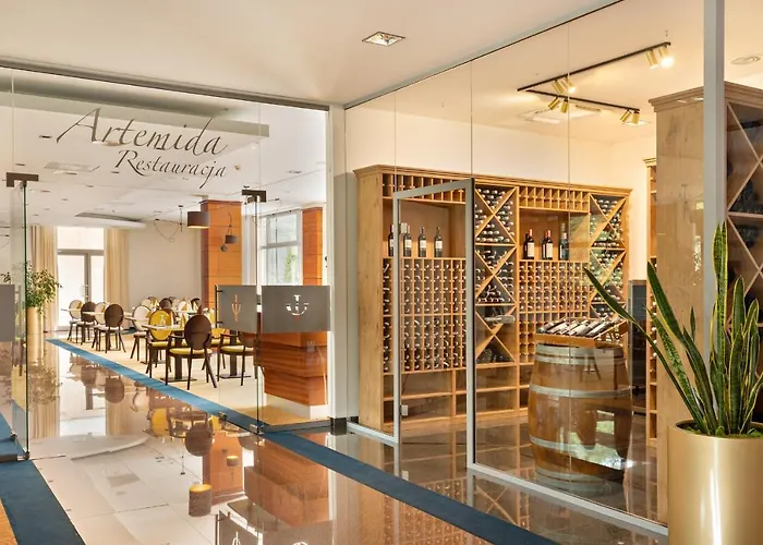 Hotel Olympic & Wellness Ustron