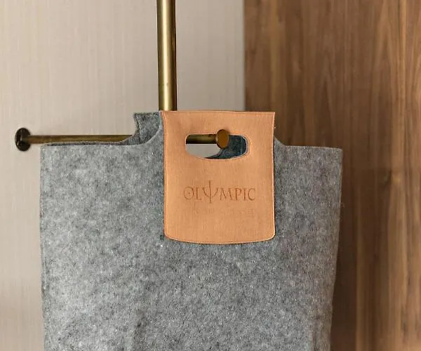 Olympic & Wellness 4*