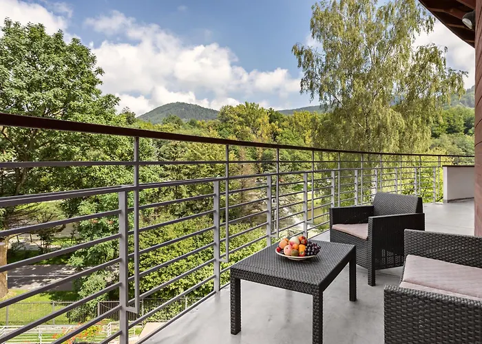 Olympic & Wellness Ustroń