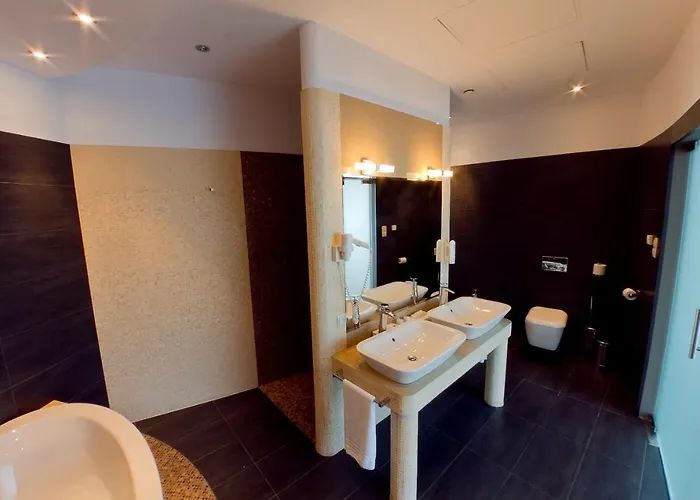 Olympic & Wellness 4*