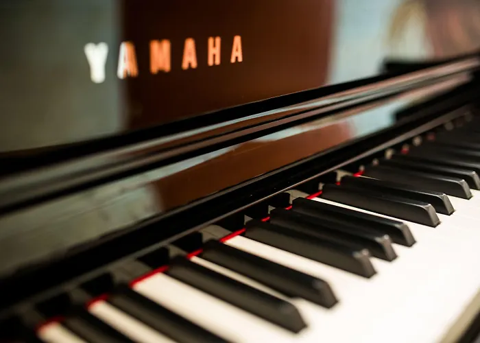 Olympic & Wellness 4*