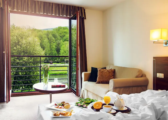 Olympic & Wellness Hotel