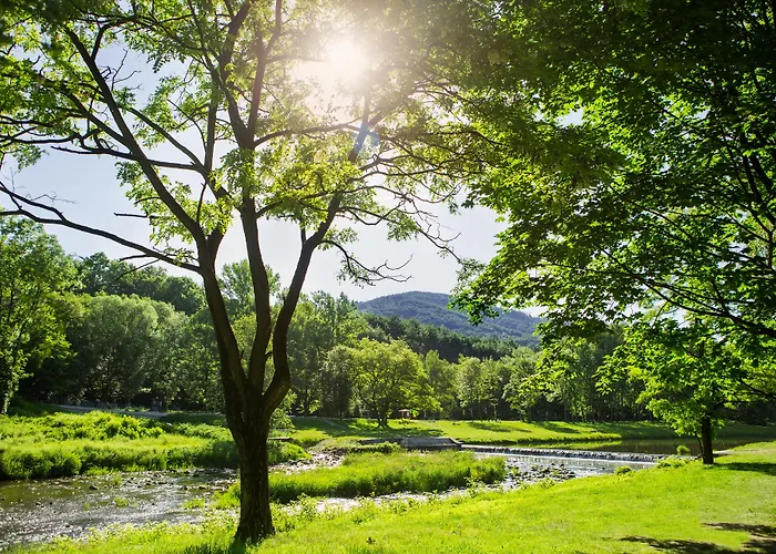 Olympic & Wellness Hotel Ustroń