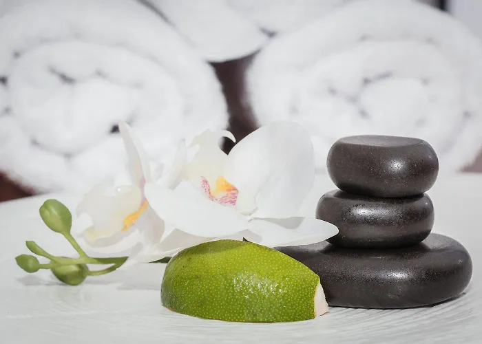 Olympic & Wellness Hotel