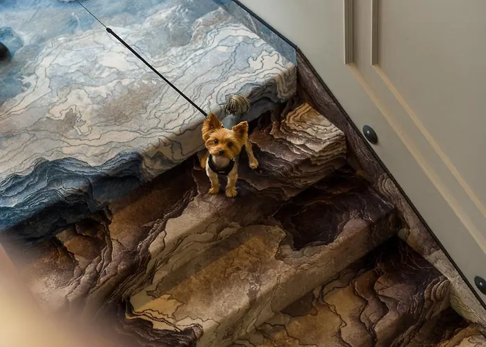 Olympic & Wellness Szálloda